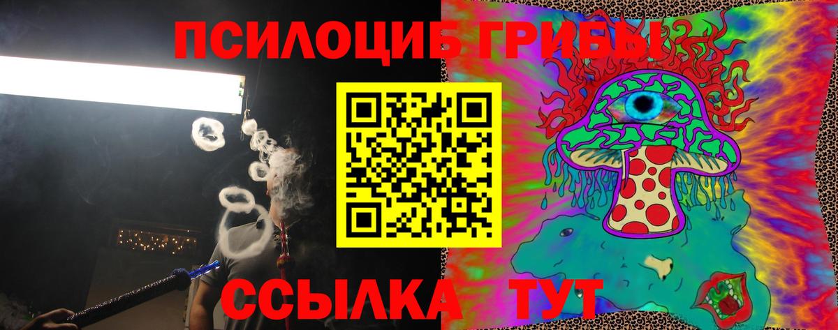 Дербент  Псилоцибиновые грибы мицелий  Галлюциногенные грибы Cubensis  Вход с VPN 