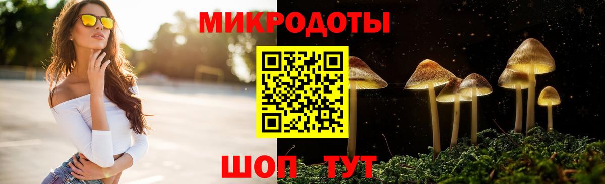 Псилоцибиновые грибы мухоморы Дербент