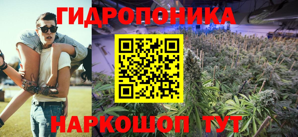МЕФ Дербент